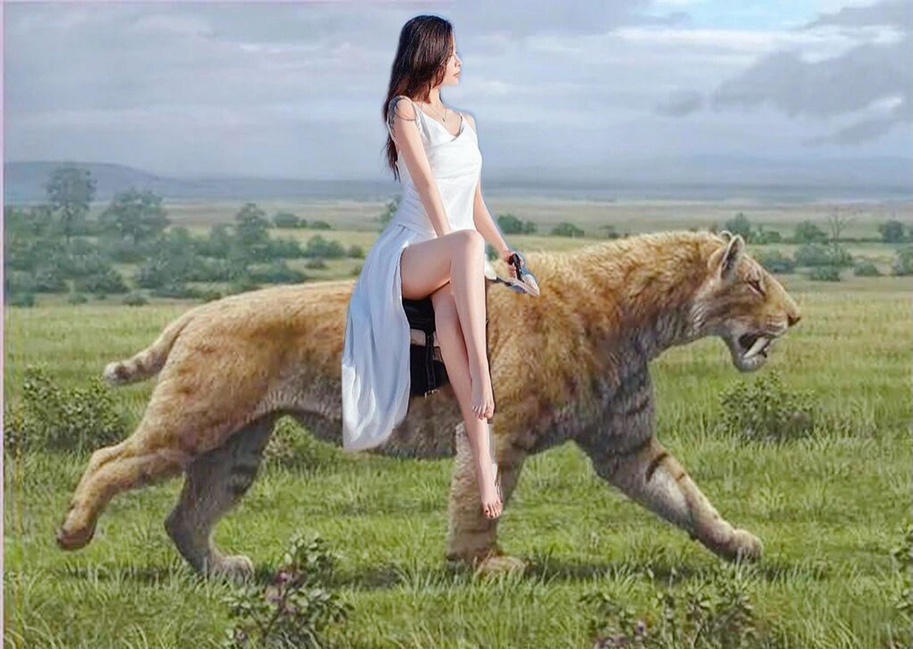 美女骑老虎,真霸气!   实现在不可能