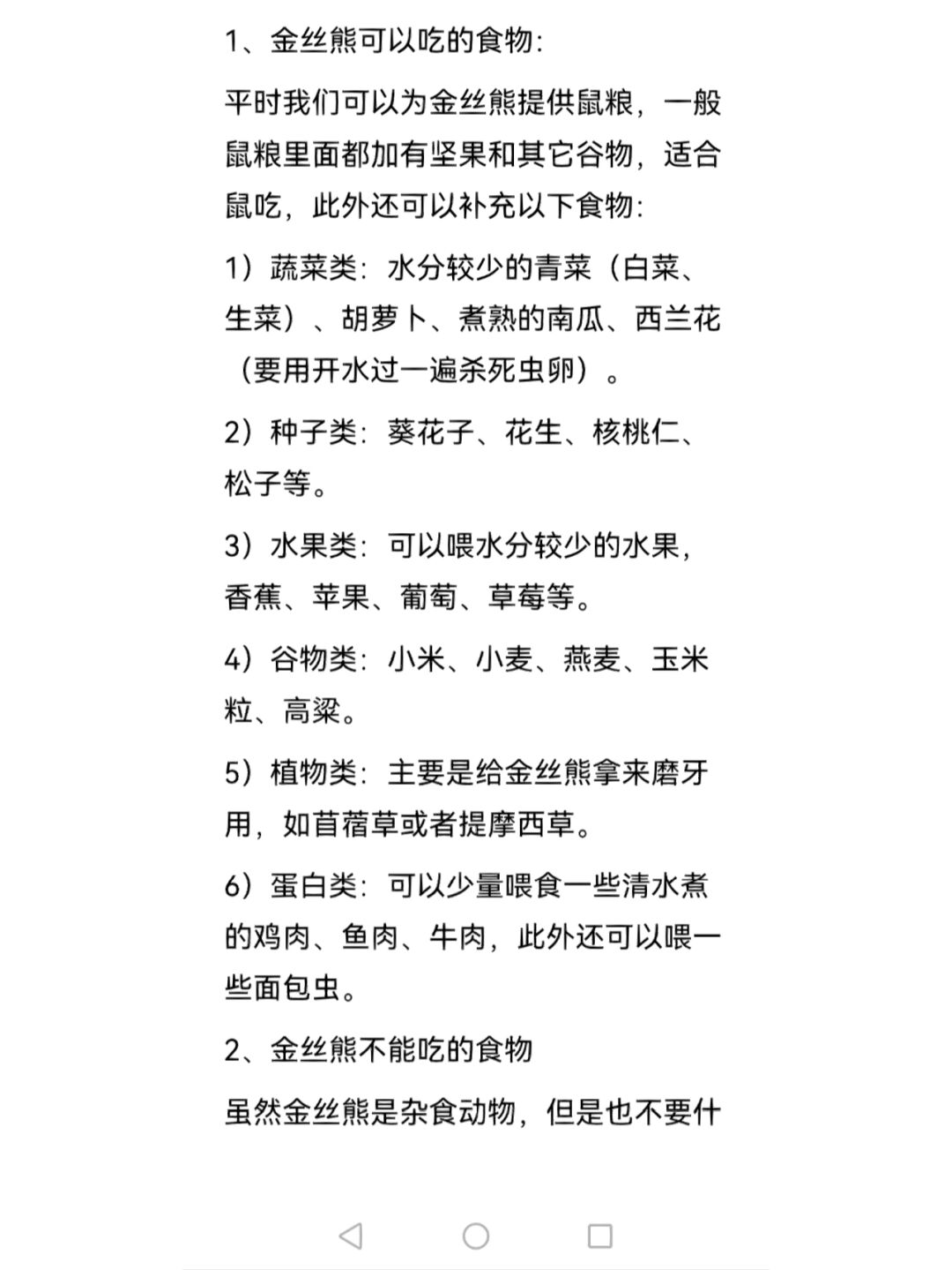 金丝熊可以吃什么?一站式归纳