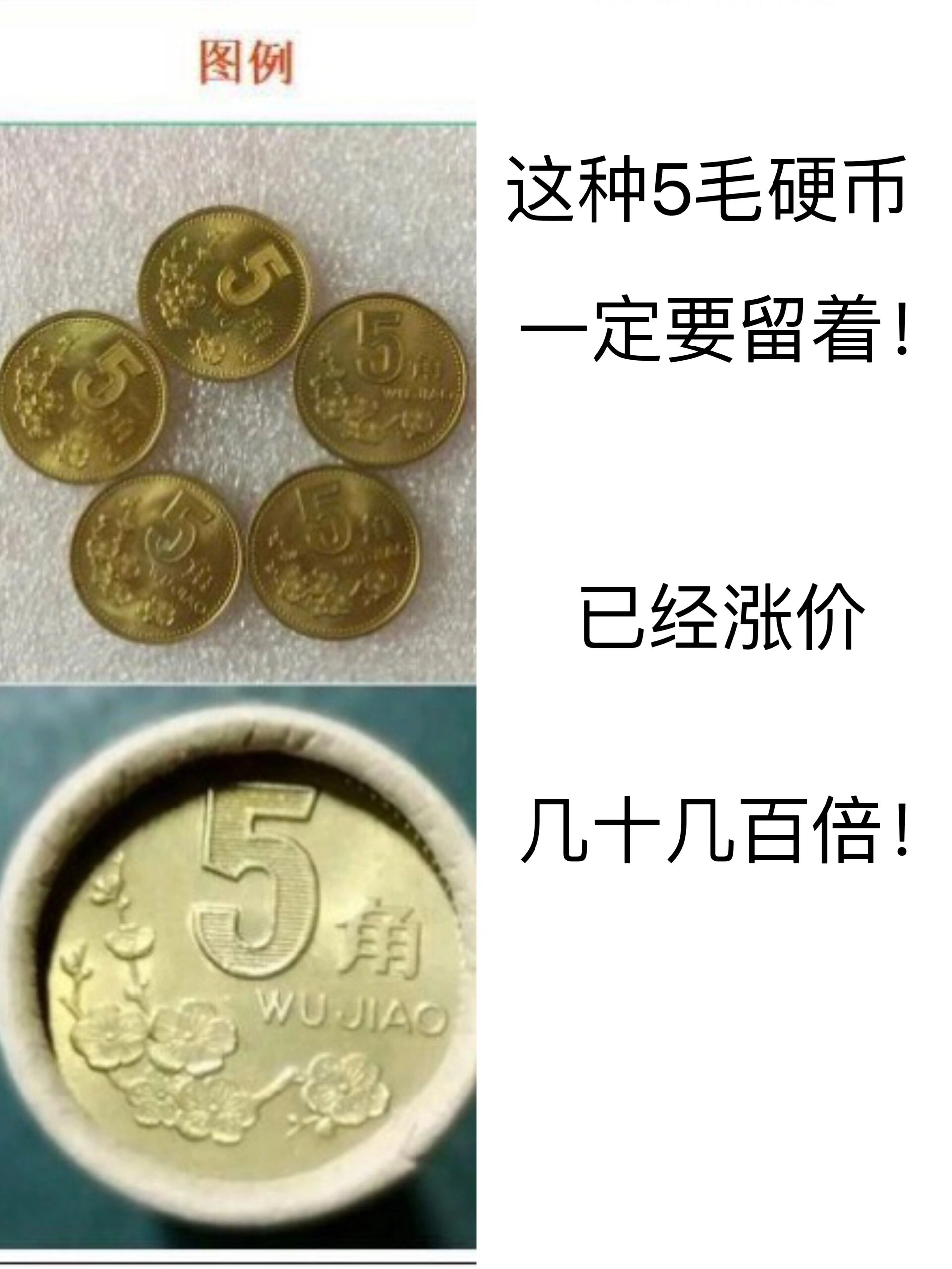 分享家里收藏的梅花5角硬币(图2,图3),梅花5角相对是比较有收藏价值的