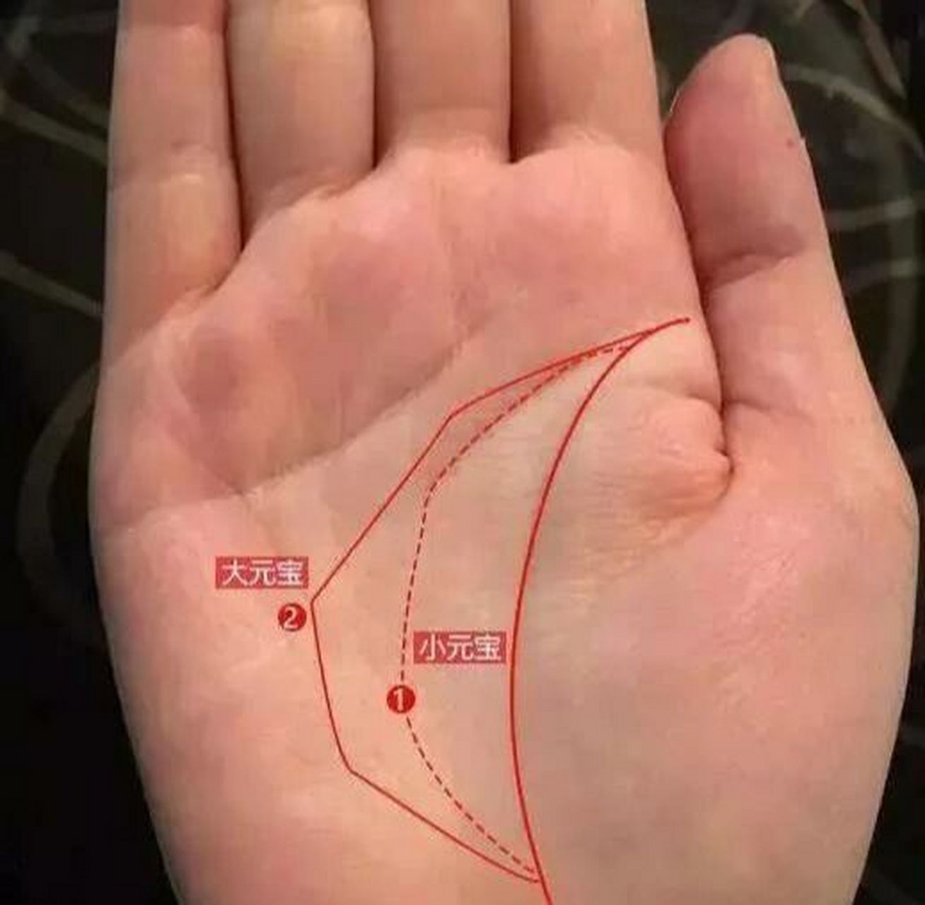 (1/2) 手掌上有元宝纹好不好?