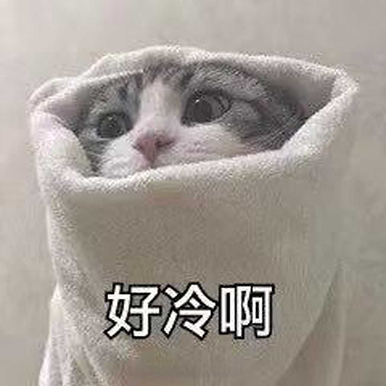 盏鬼粤语#今天降温好冻啊~一人来一个形容冷的词吧~ 我先来:冻冰冰