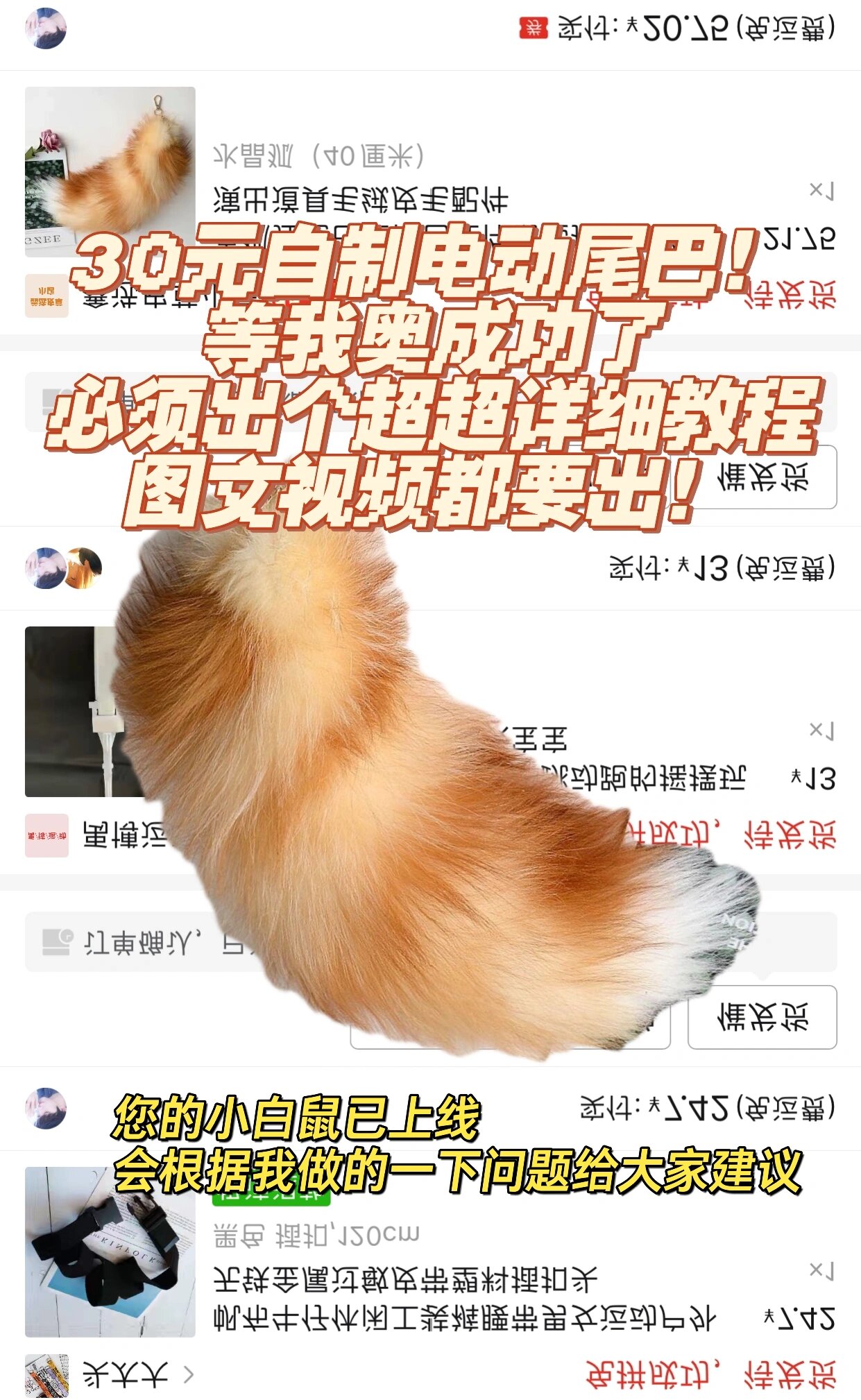 内附链接      这几天给我看这个自制看的心痒痒太可爱了小尾巴!