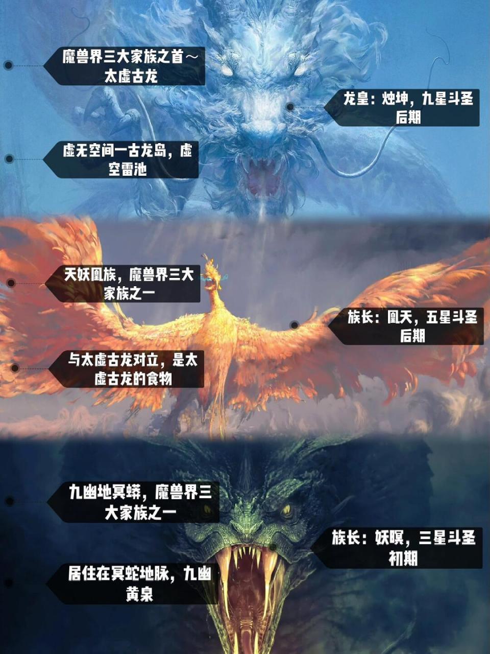 11566:魔兽界三大家族之首～太虚古龙 族长烛坤,九星8215斗圣