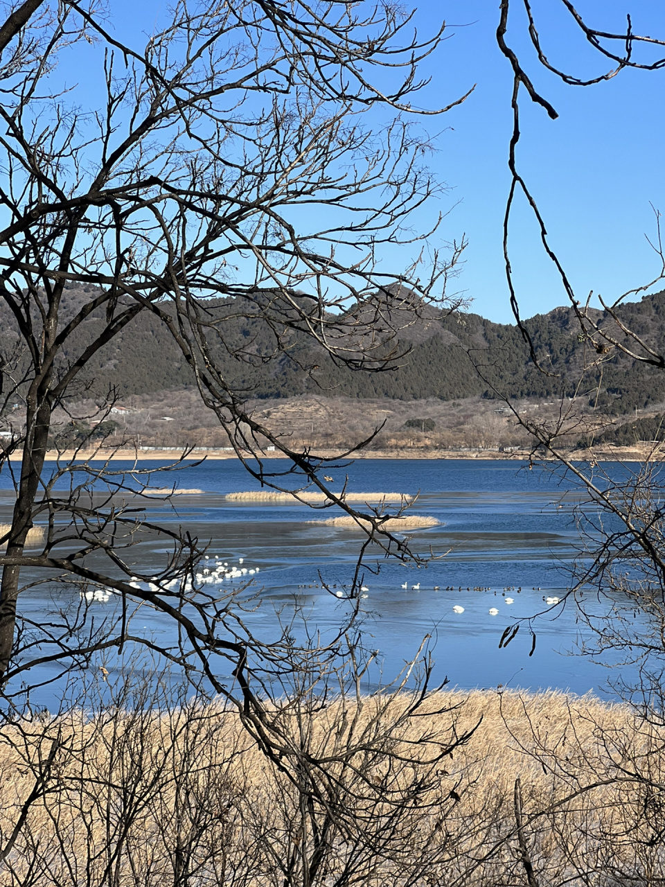 山河故人|怀山柔水 栗花沟畔 怀柔是我永远去不腻的地方 每一次都有