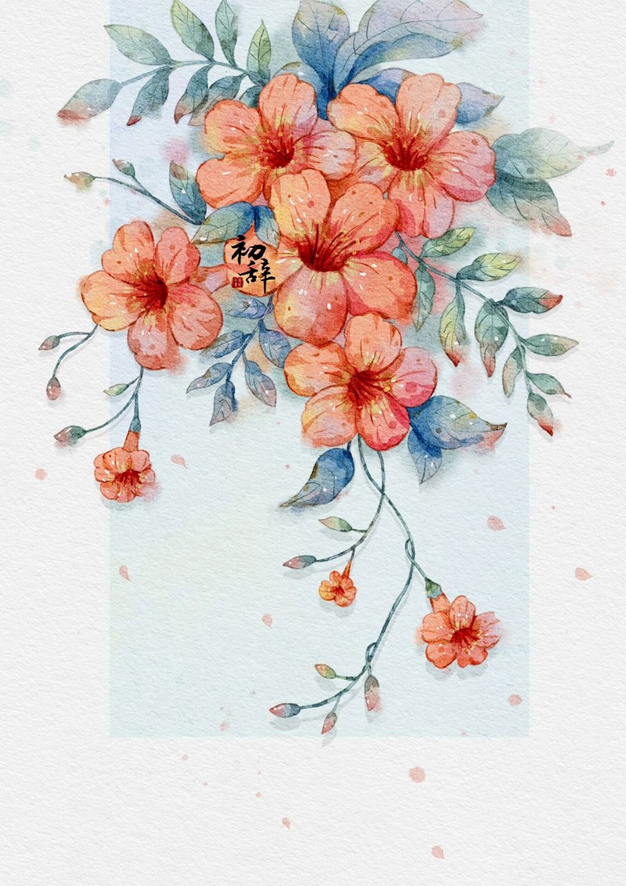 植物课作业四 凌霄花            	 (已开课) 凌霄花之前有画过 这次