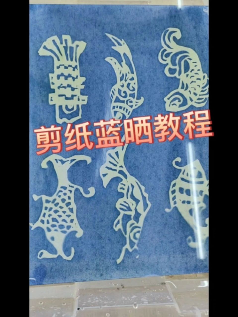剪纸蓝晒教程 终于整了个教程,不太专业,但基本理清制作过程.
