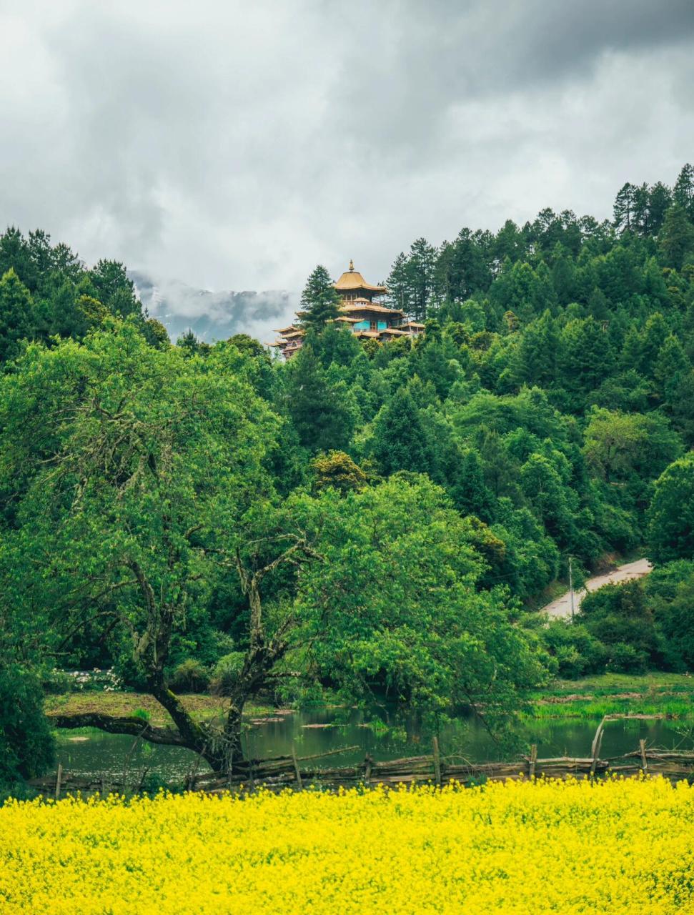 【西藏林芝市波密县】嘎朗王宫遗址 嘎朗王宫遗址-是相传公元一百多年