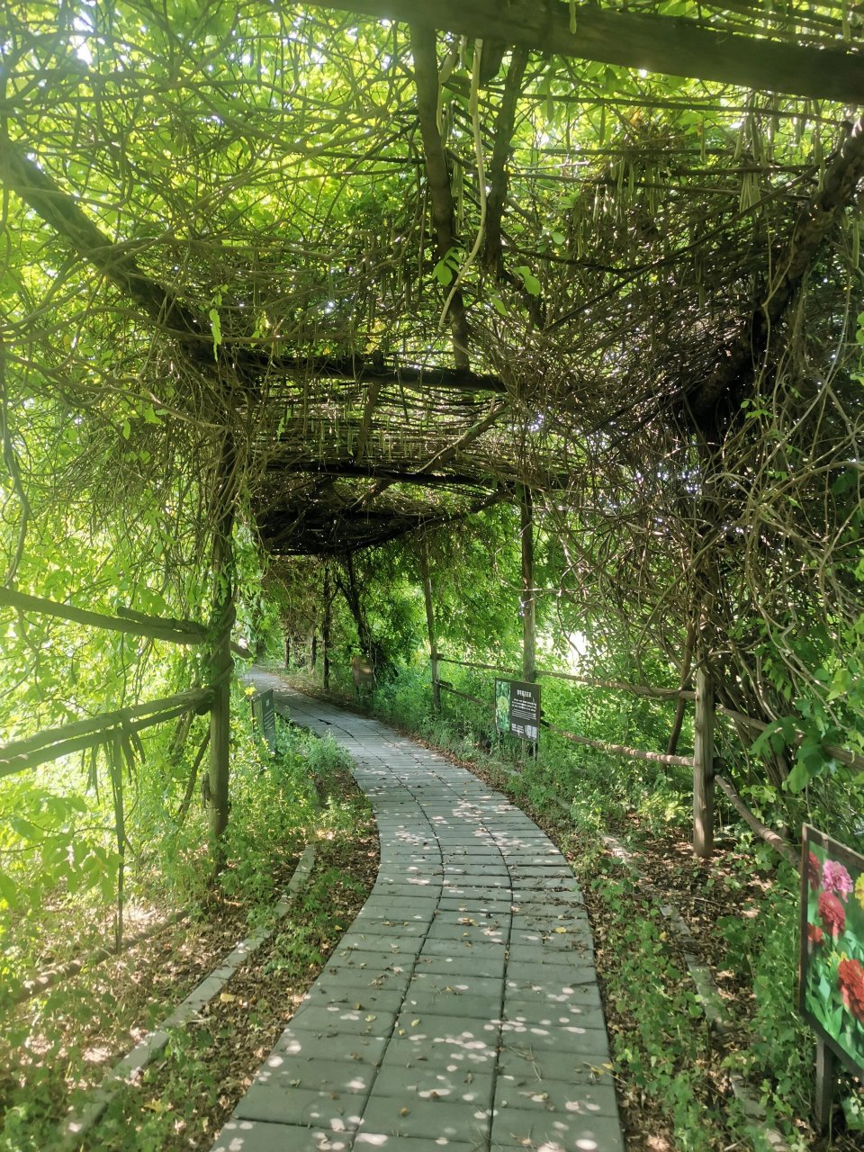 花仙子万花园 北京花仙子万花园位于通州区于家务乡,面积600亩.