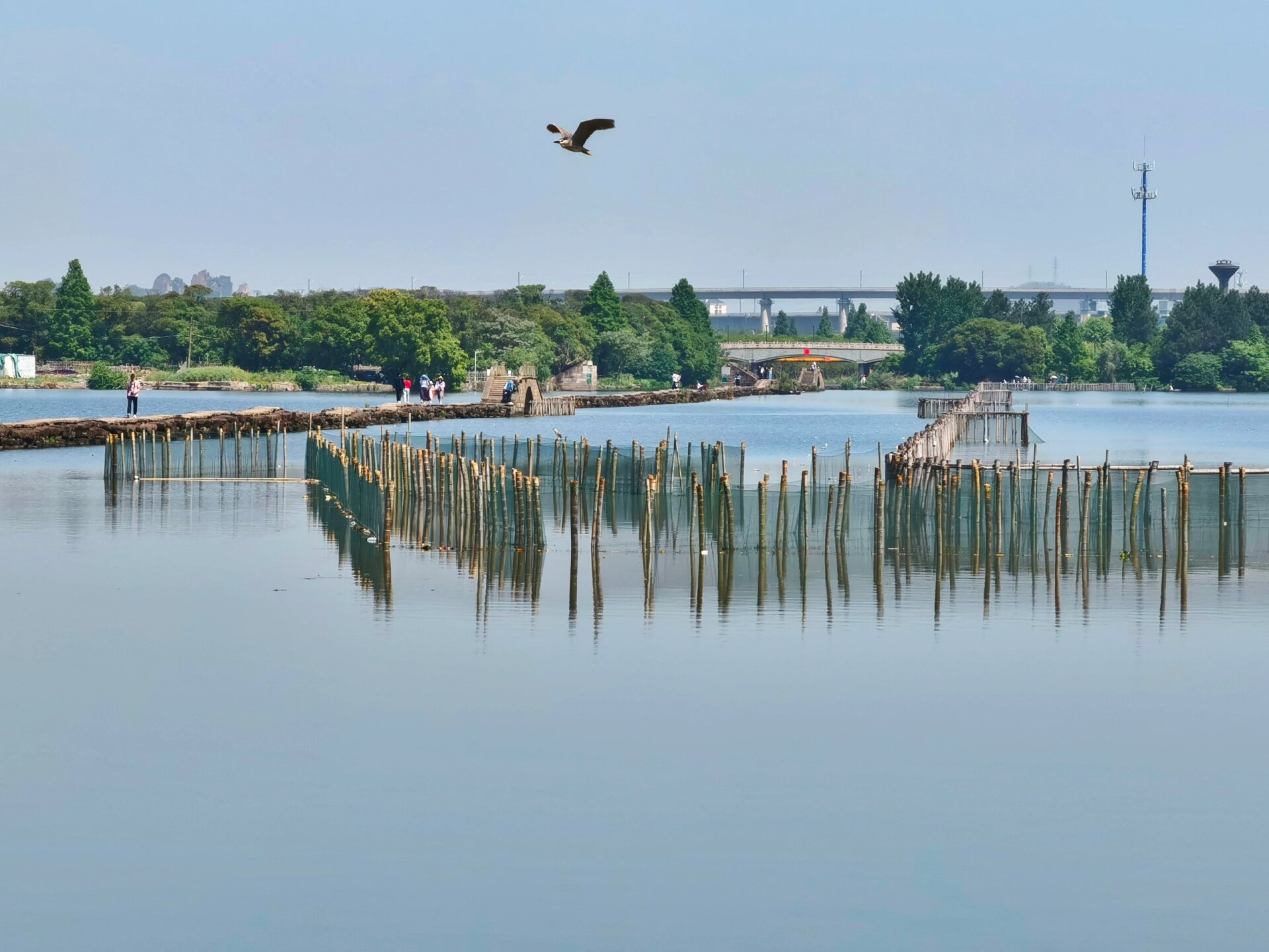 绍兴冷门景点|穿越百年的避风塘古纤道