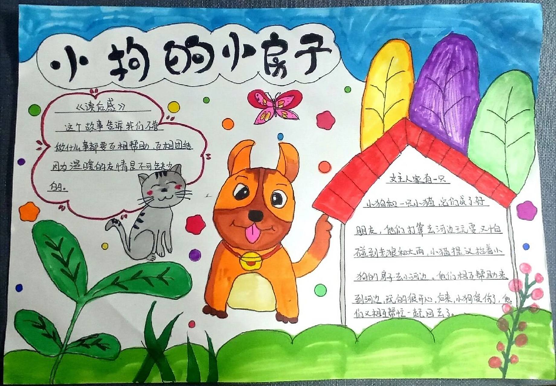 小狗的小房子手抄报    手抄报