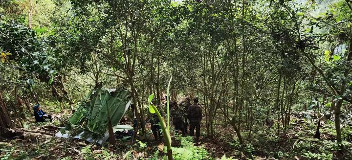 薄荷塘古树茶2020价格