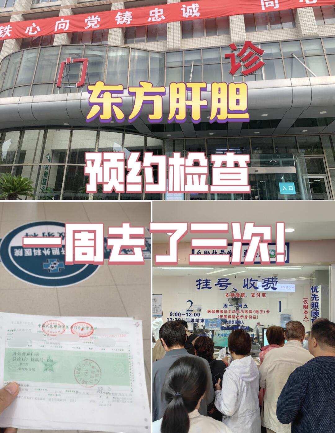 中國醫學科學院腫瘤醫院、醫院陪診，健康咨詢黃牛票販子掛號號販子的簡單介紹