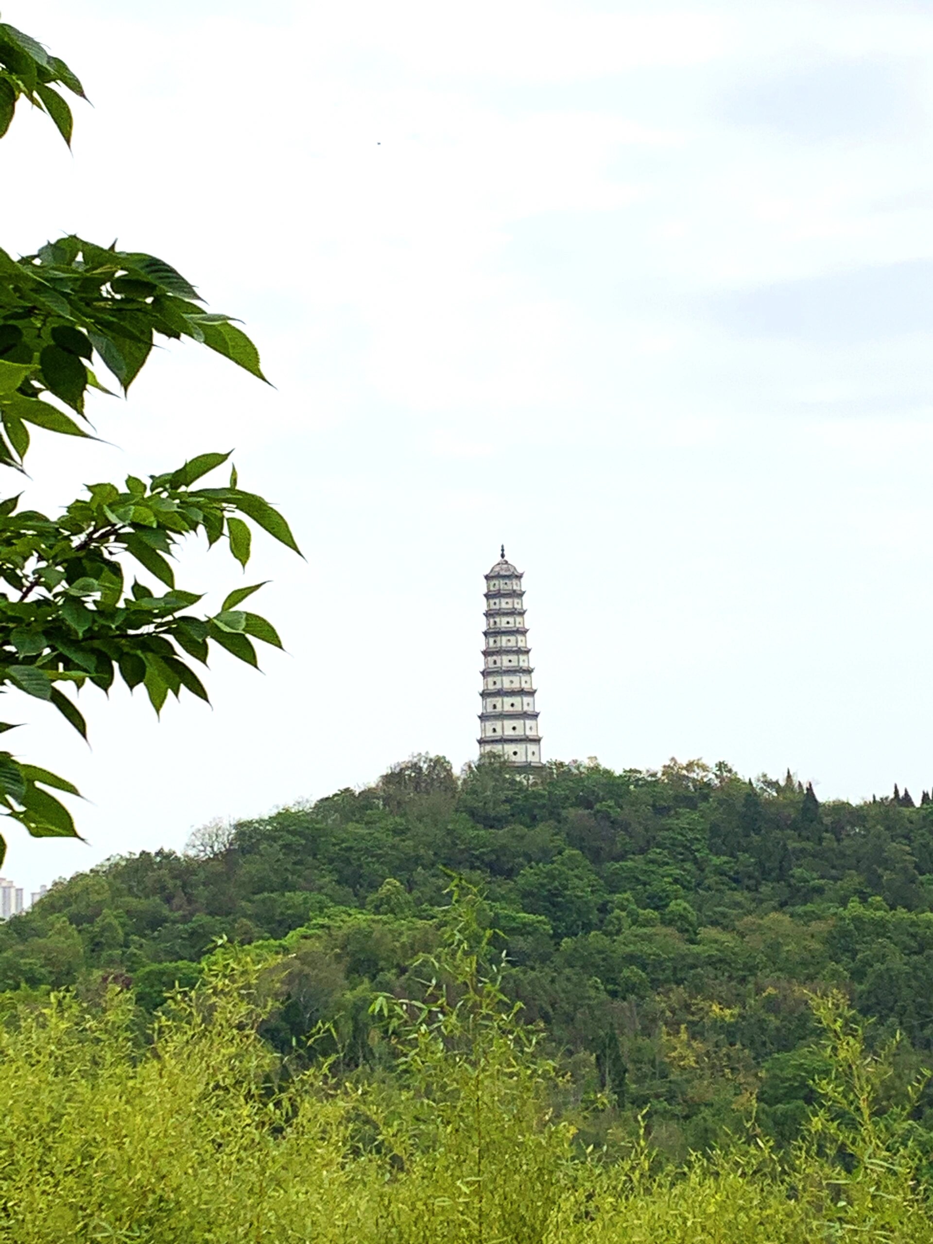 内江网红打卡景点图片