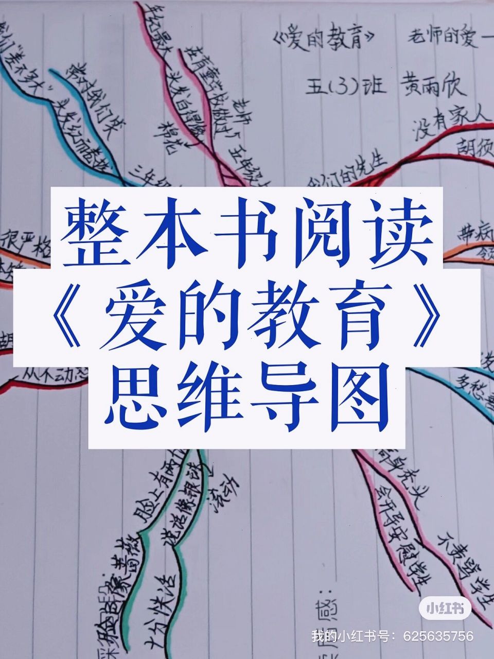 整本书阅读《爱的教育》之老师的爱思维导图