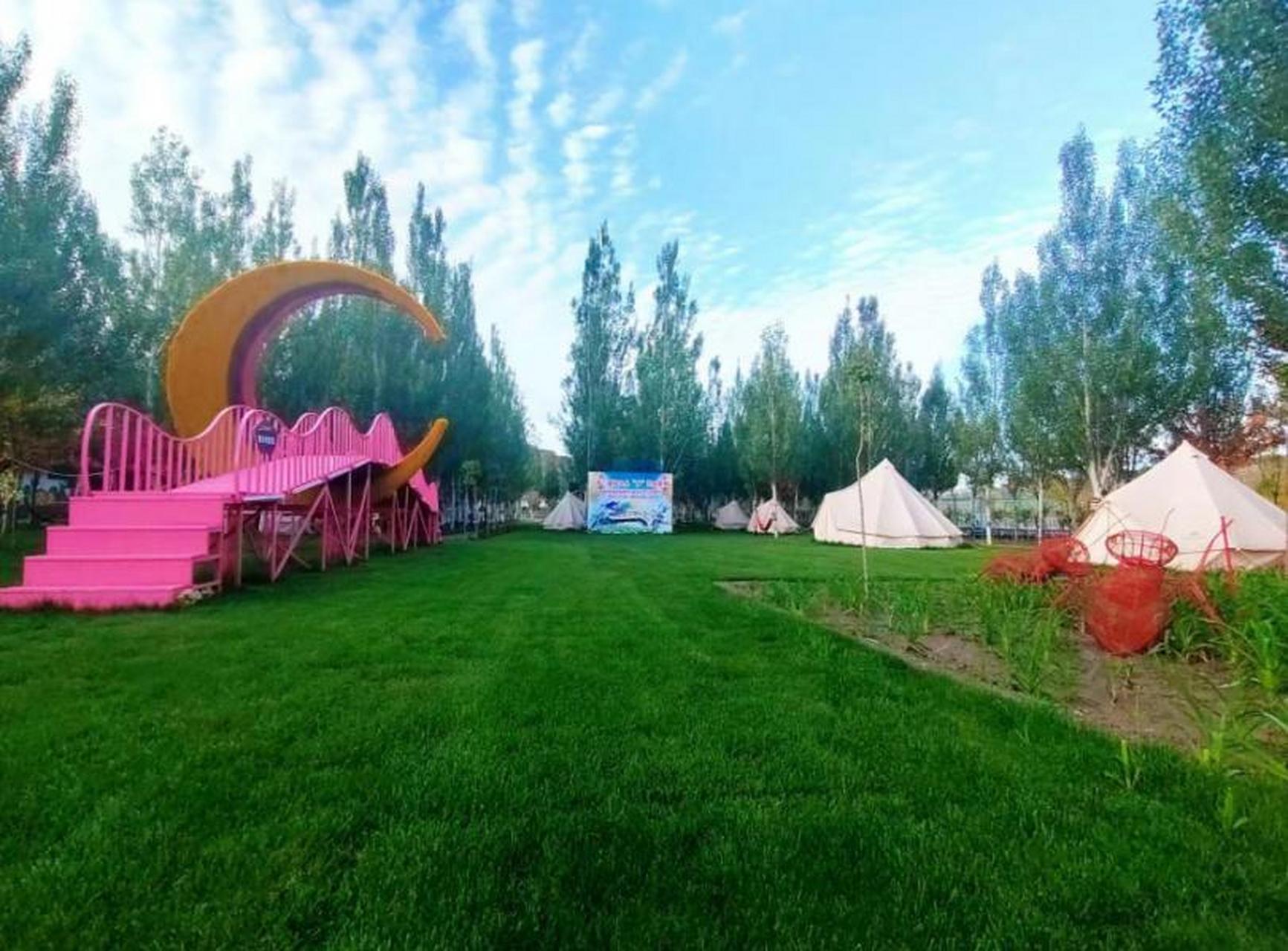 微风习习,孔雀翱翔……走进太原市娄烦县天池店乡顺道村的孔雀小镇