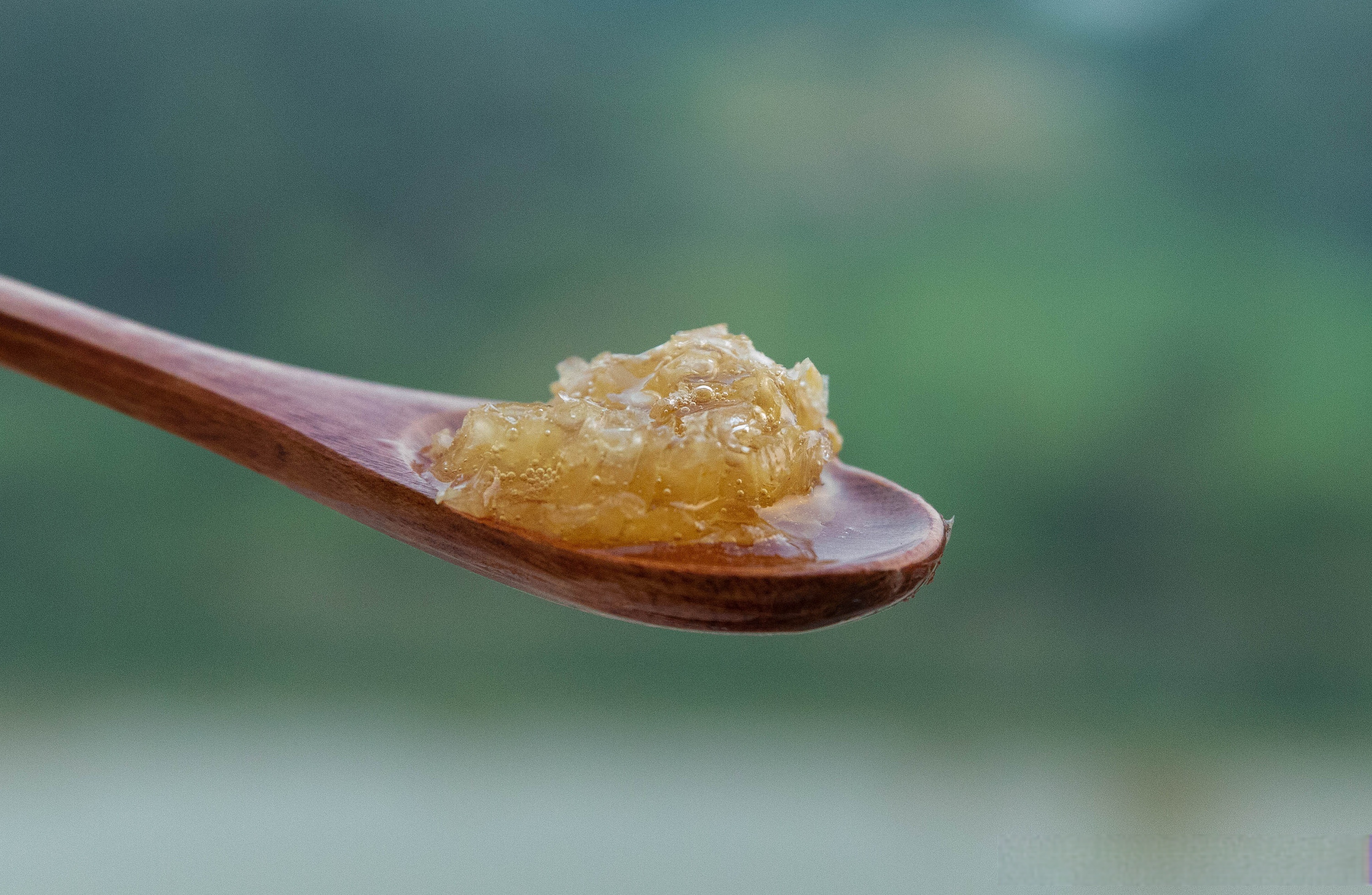 梦蜂蜜取糖(梦见自己在取蜂糖)