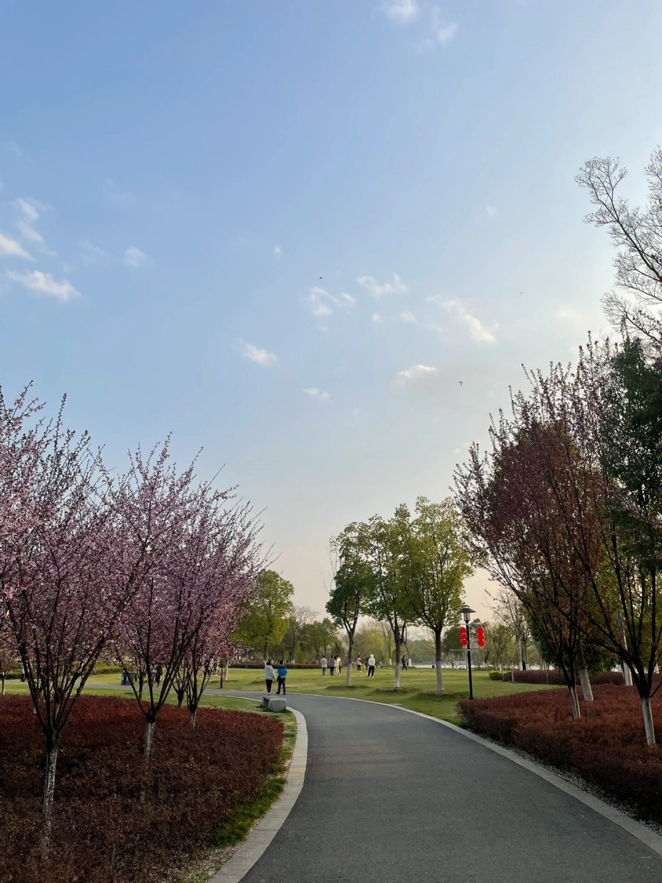 芜湖最美的公园 -汀棠公园 天空是底色,绿树是主色,鲜花是配色,还有这