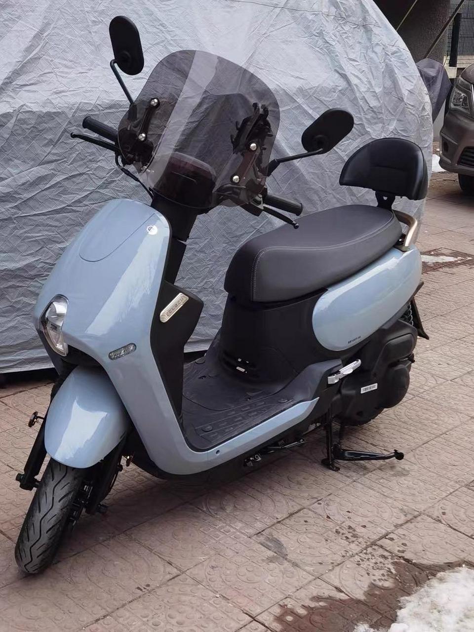 三阳蜂鸟clbcu125后靠背.无损安装 专车专用