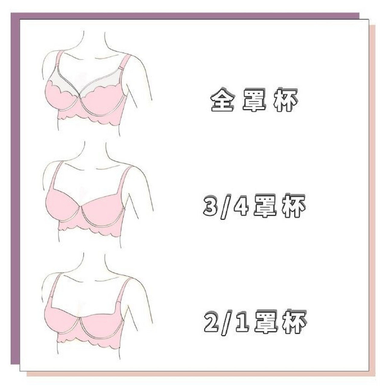 关于内衣罩杯的类型全教程 其实内衣的种类普遍都围绕在几个主要元素