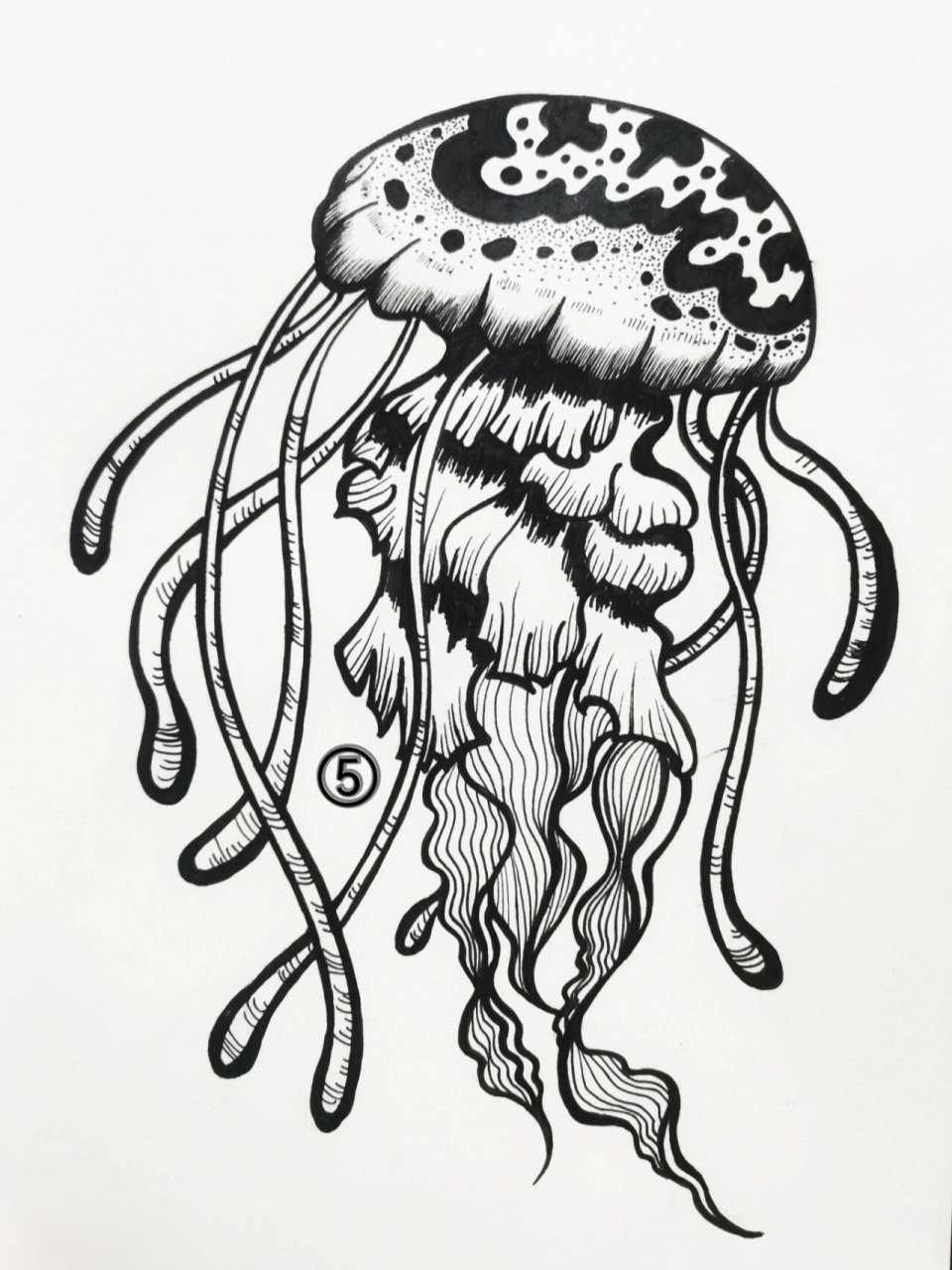 线描装饰画丨水母丨附步骤 ①草稿,先用铅笔画出伞形的身体,再画长长