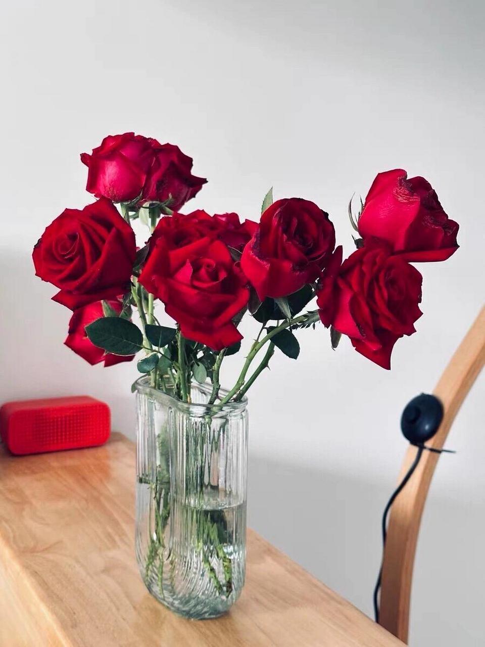 卡罗拉,最常见的红玫瑰.