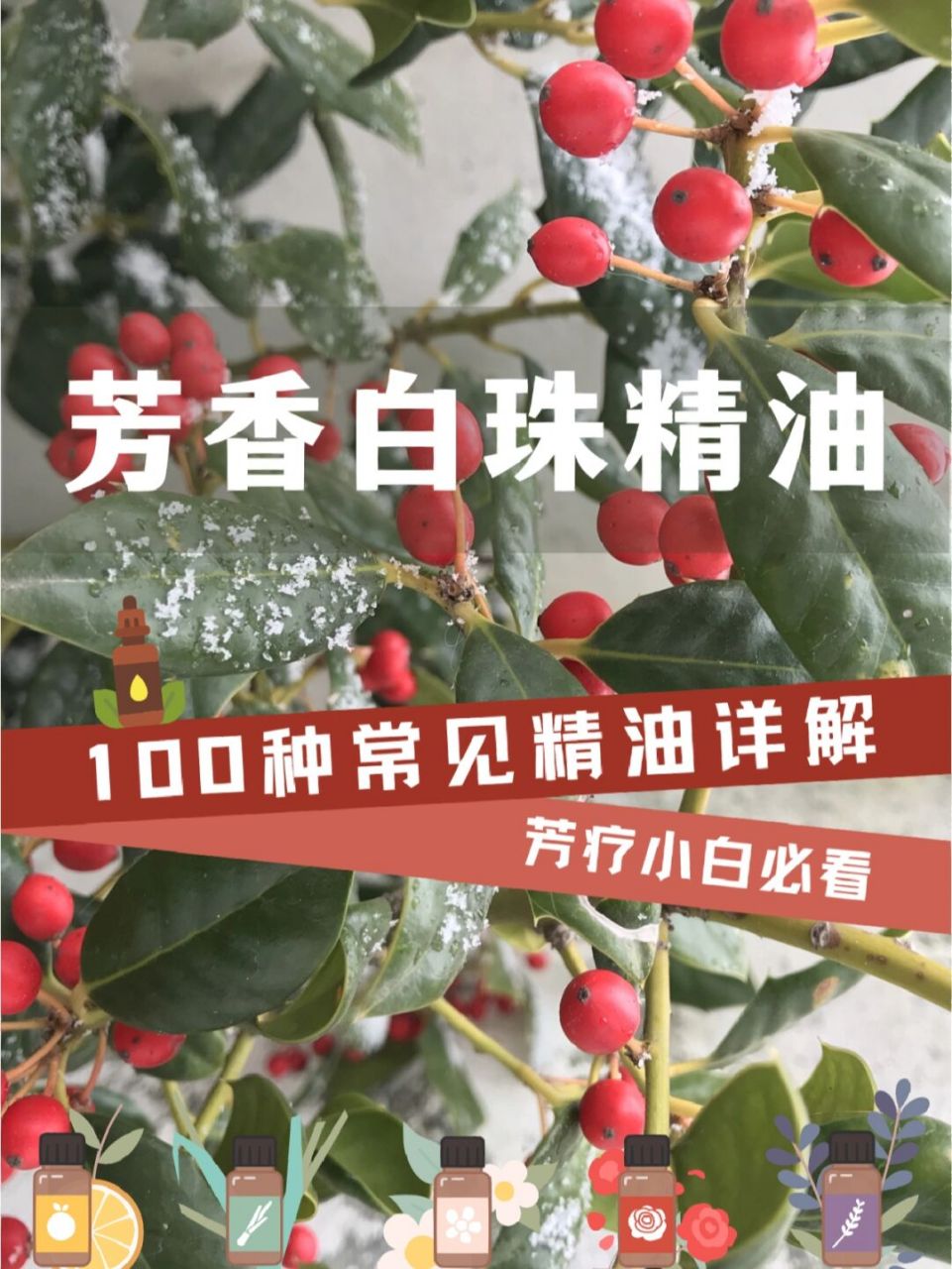 消炎止痛芳香白珠精油,纯天然的阿司匹林 78157815昨天我们说