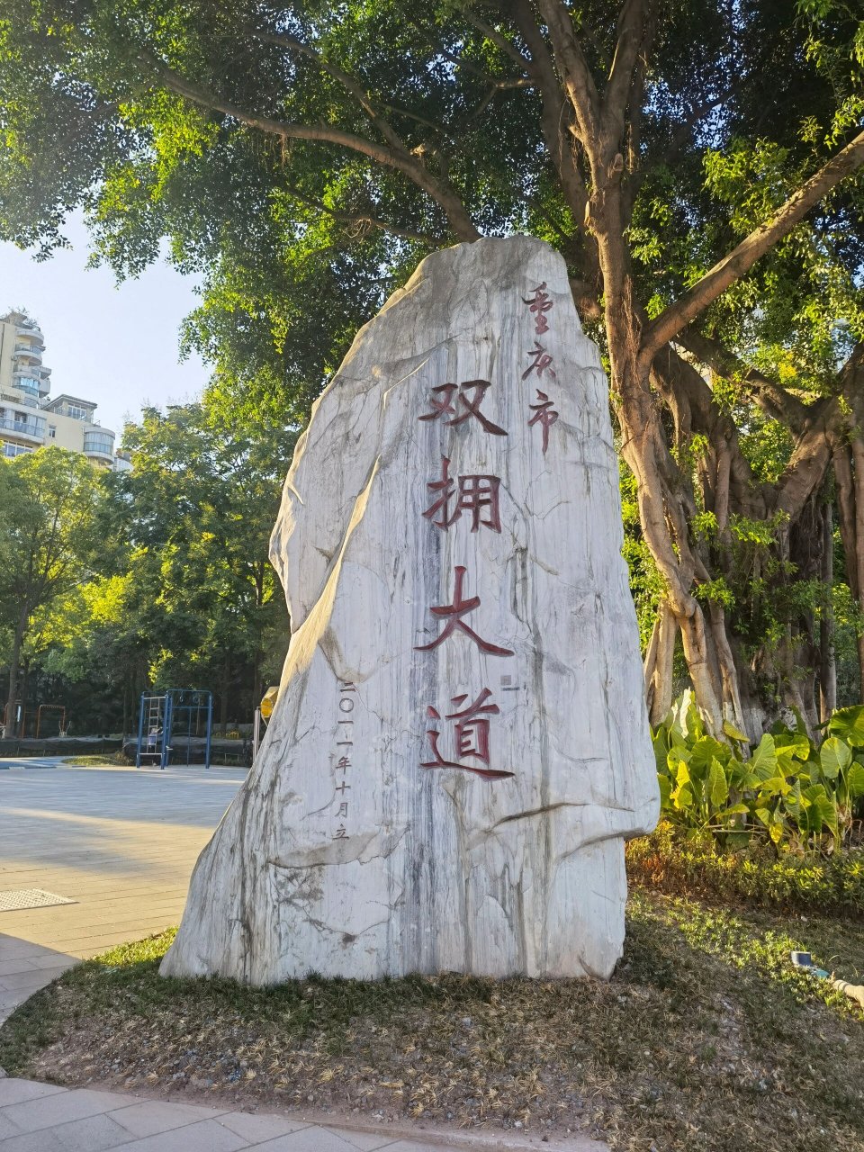 重庆大鱼海棠公园地址图片