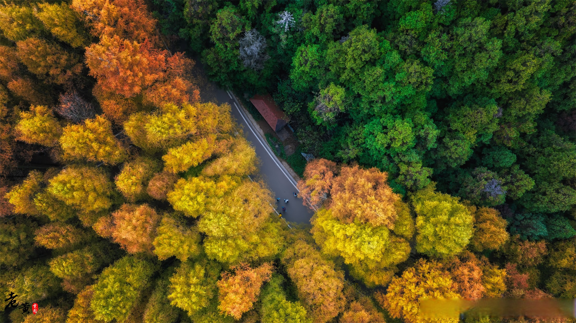 记录旅行# 位于重庆南川的山王坪景区,是一个充满自然魅力的地方.