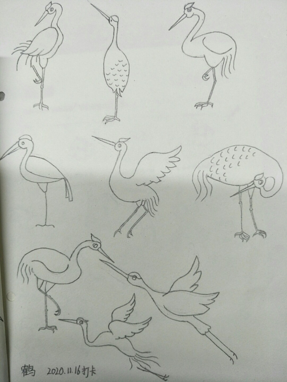 简笔画鹤,坚持打卡 #绘画