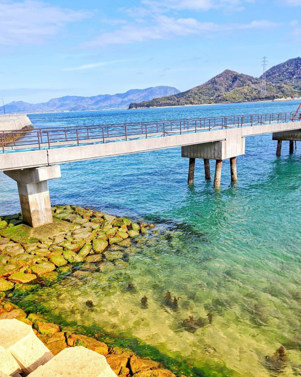 探访最萌的日本兔子岛◎广岛大久野岛 92大久野岛座落于濑户内海艺