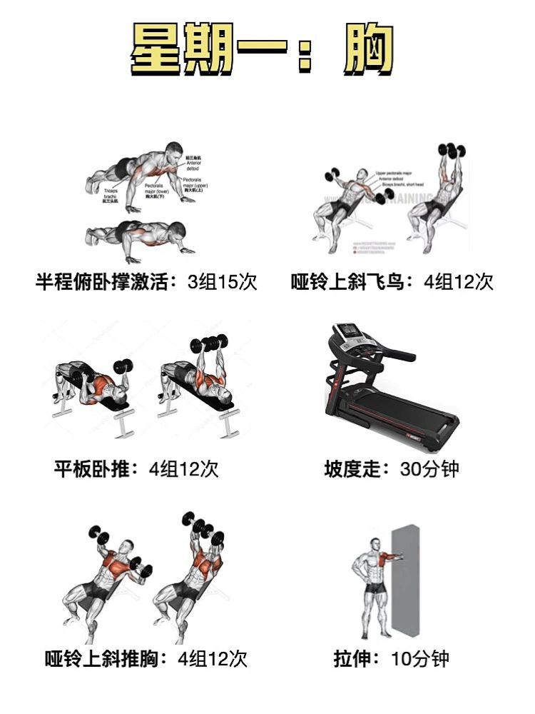 女生哑铃训练计划6015一周四练6015新手适用