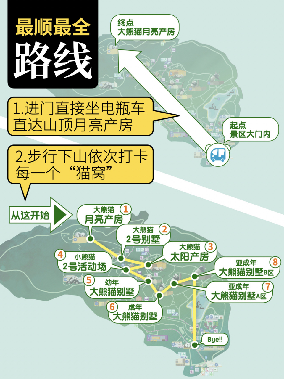 成都大熊猫基地旅游攻略|避坑 路线 餐食94 来成都旅游,10个人有11