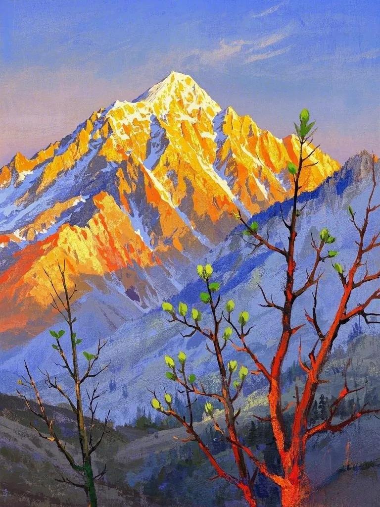 高山上的绿色希望,迎接朝阳的温暖