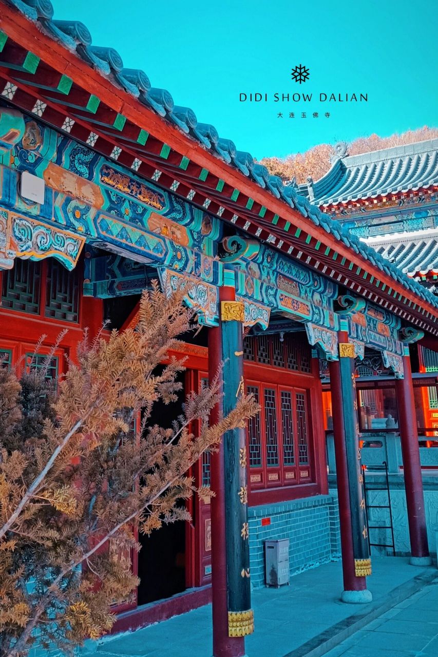 大连玉佛寺简介图片