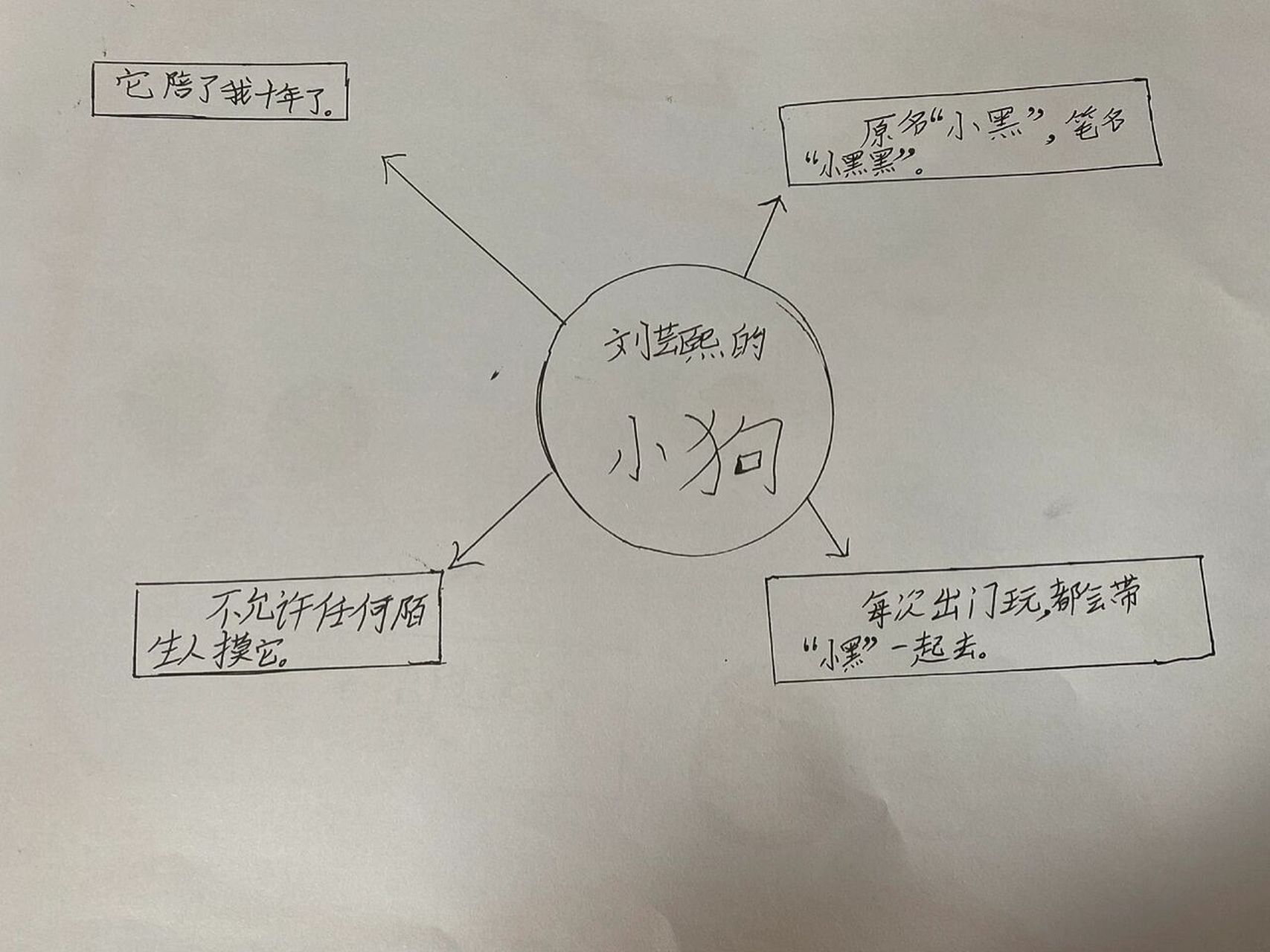 我的心爱之物提纲图片