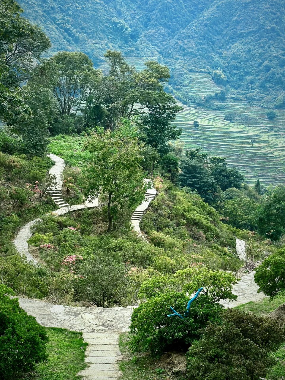 江西婺源篁嶺曬秋|秋天,豐收的季節 門票145包含索道 建議梯田索道,人