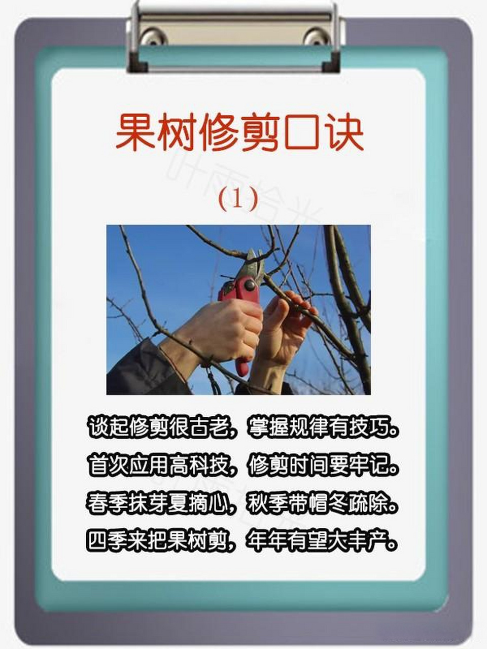 果树修剪口诀 春日生活打卡季