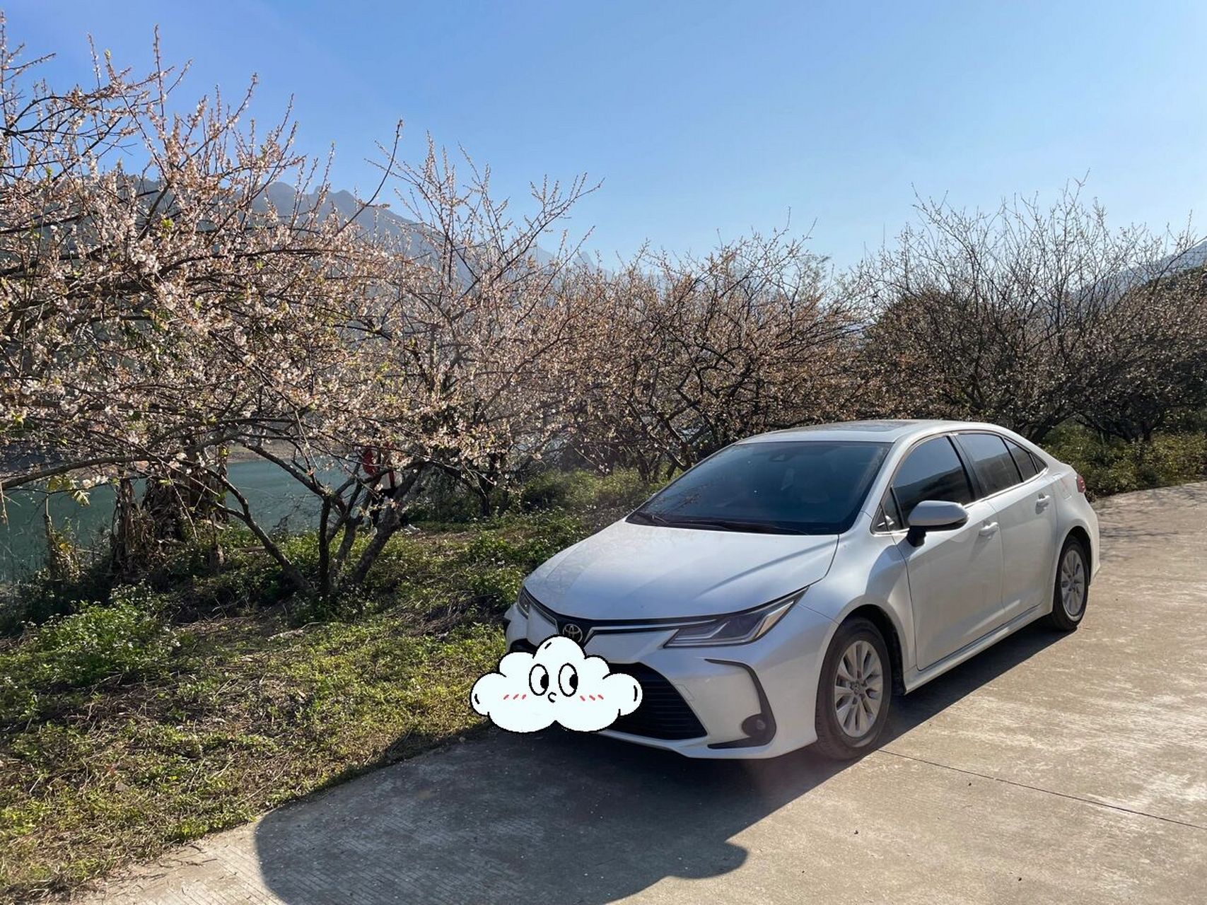 才知道三缸卡罗拉是这么好 偶然看三刀侃车,说卡罗拉三缸优惠力度不够