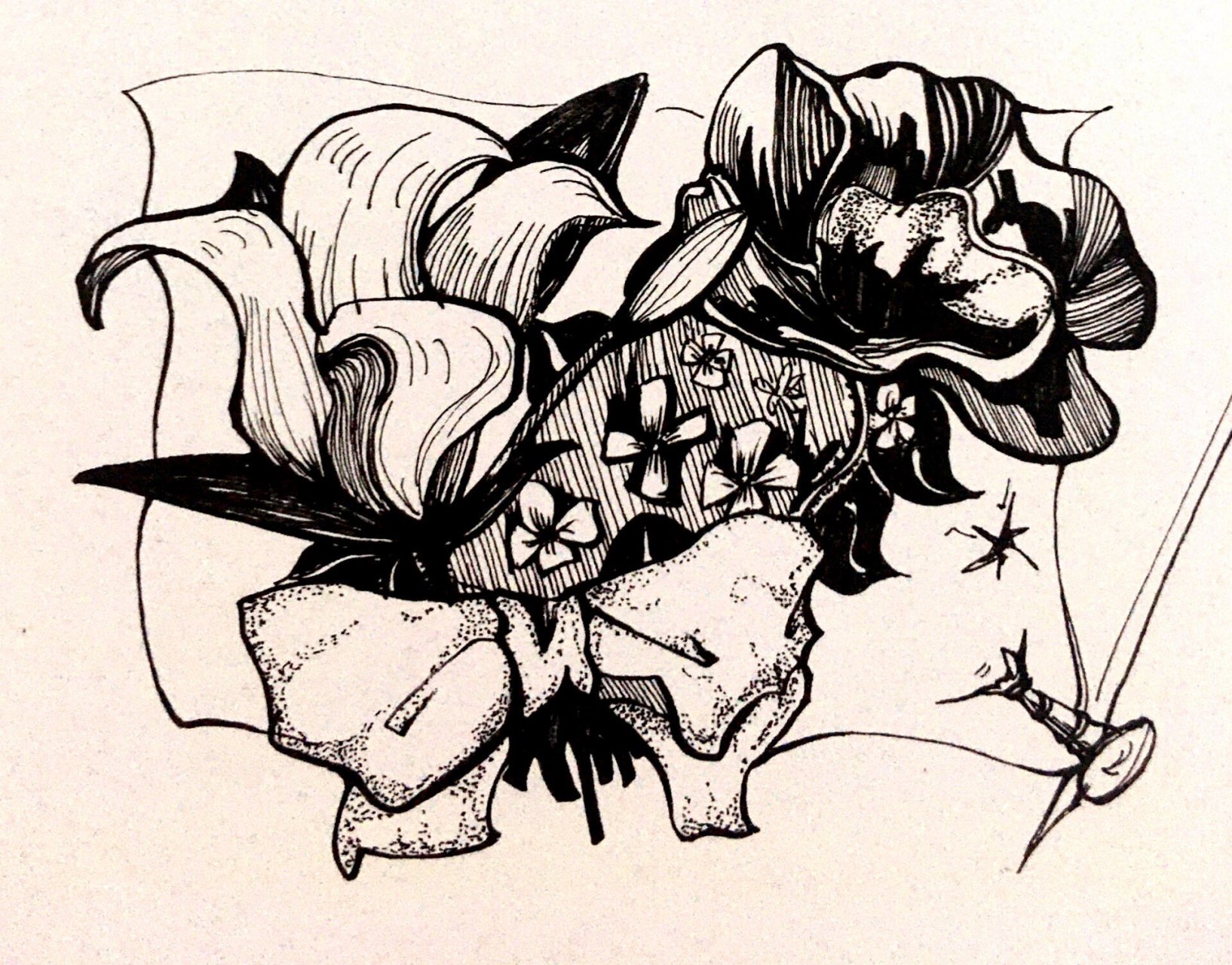 分享一组创意速写的作品,植物,表现,"浪漫"主题,考研的小伙伴可以收藏