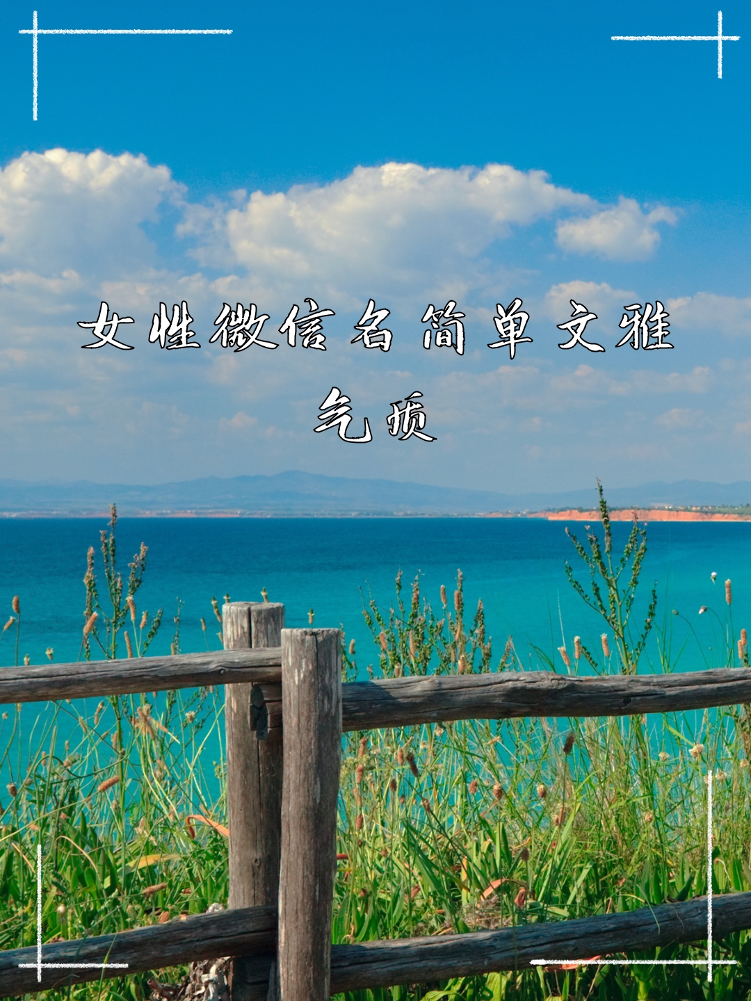 女性微信名简单文雅气质