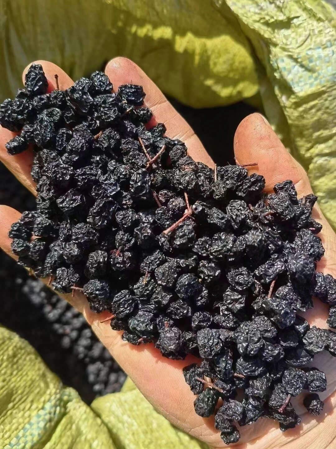 长白山小黑果,黑果花楸