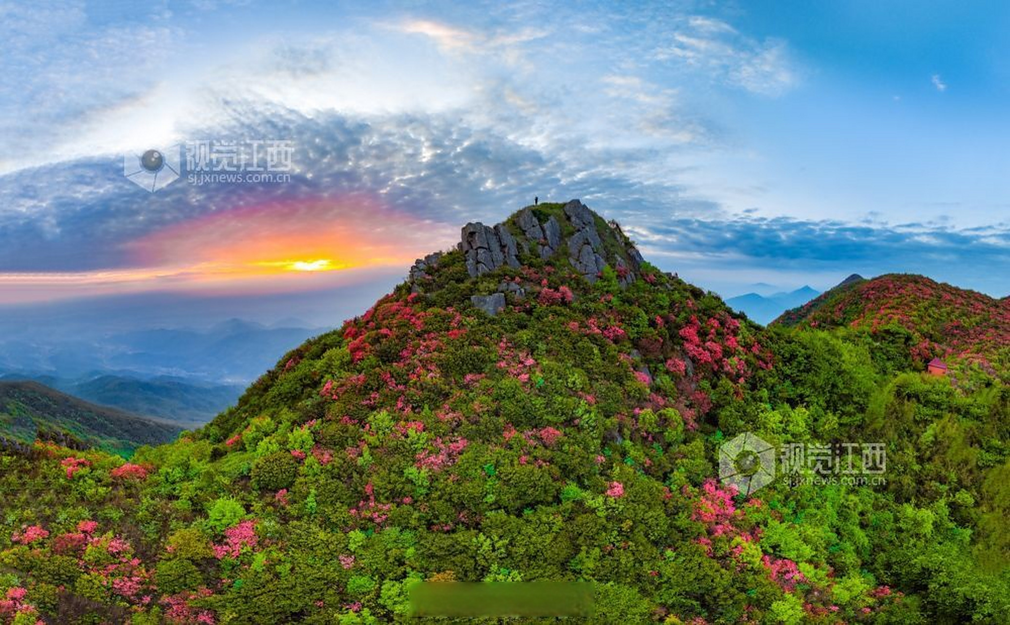 总要来趟江西吧#【江西丰城:升华山杜鹃花开】4月21日, 在江西省丰城