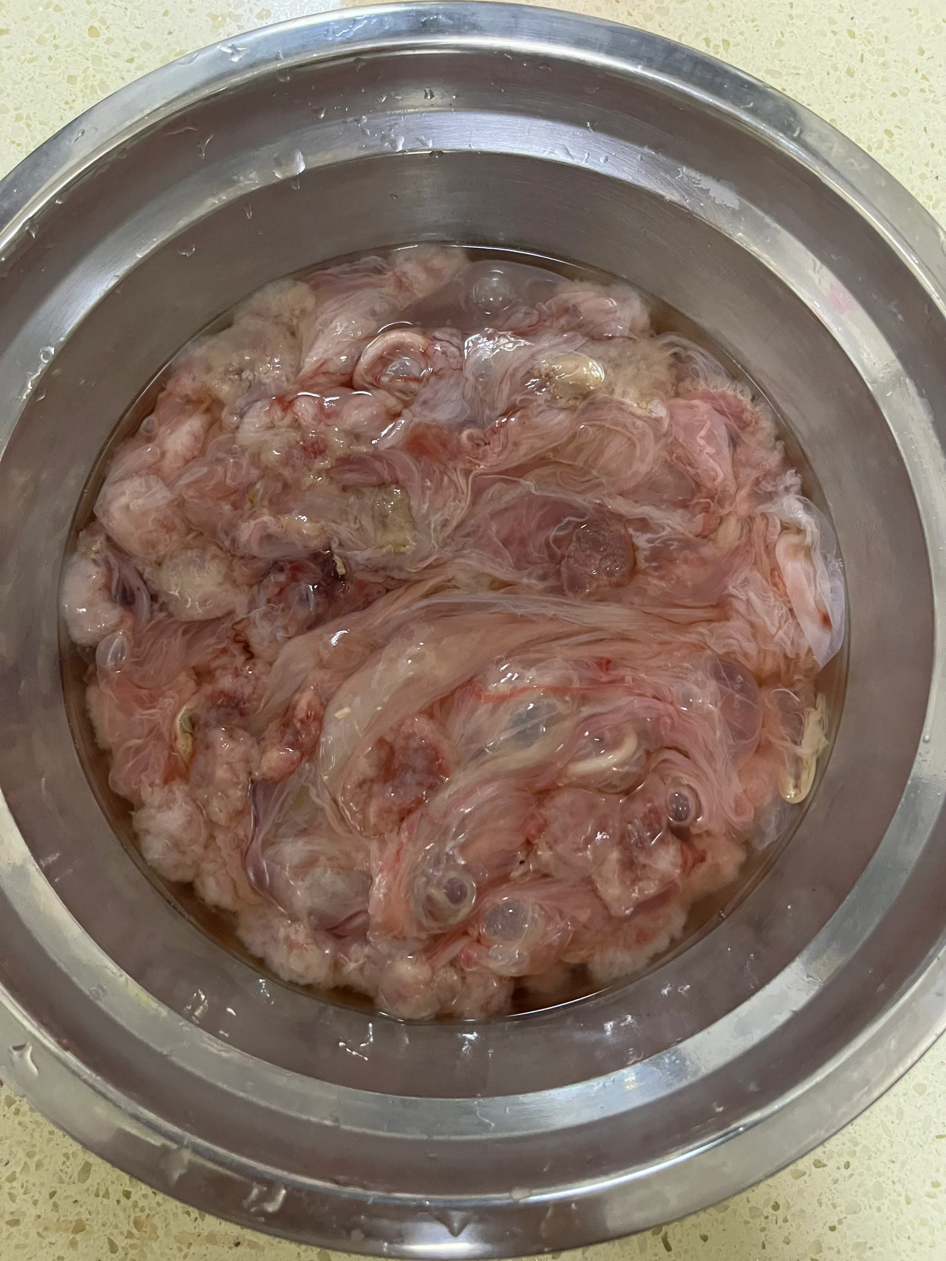 羊胎盘煲汤不管三七二十一,撸起袖子加油干,洗完多泡味道确实有点上头