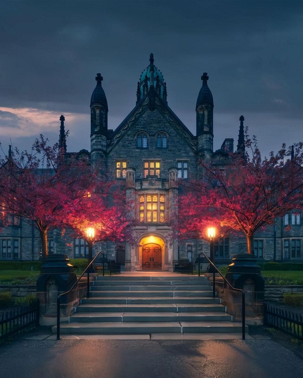 多伦多大学校园风光91