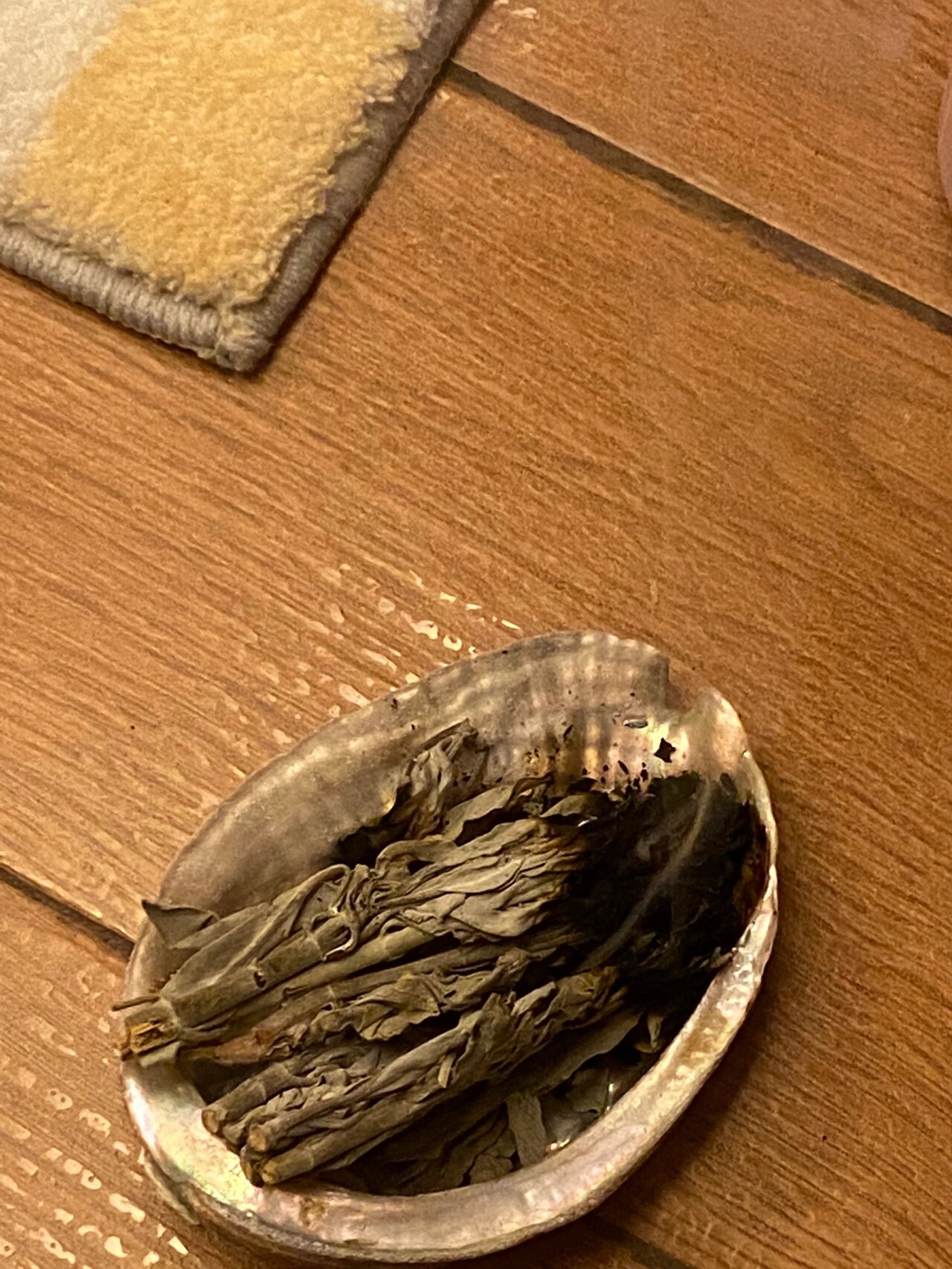 第一次烧鼠尾草