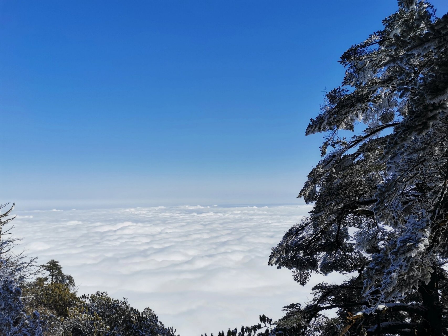 瓦屋山山顶图片图片