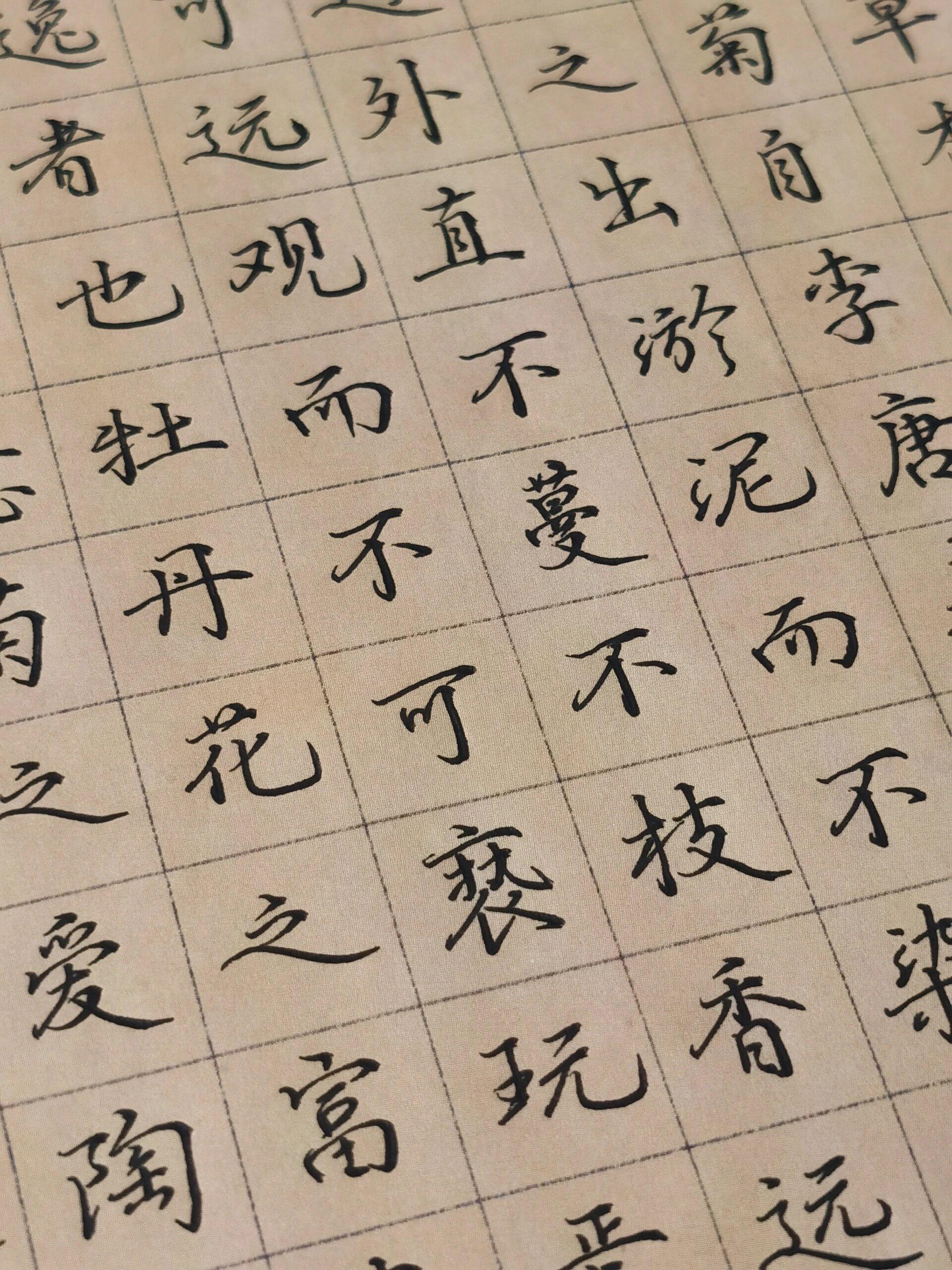 硬笔行书一篇《爱莲说》 周敦颐《爱莲说》试用于廉政主题