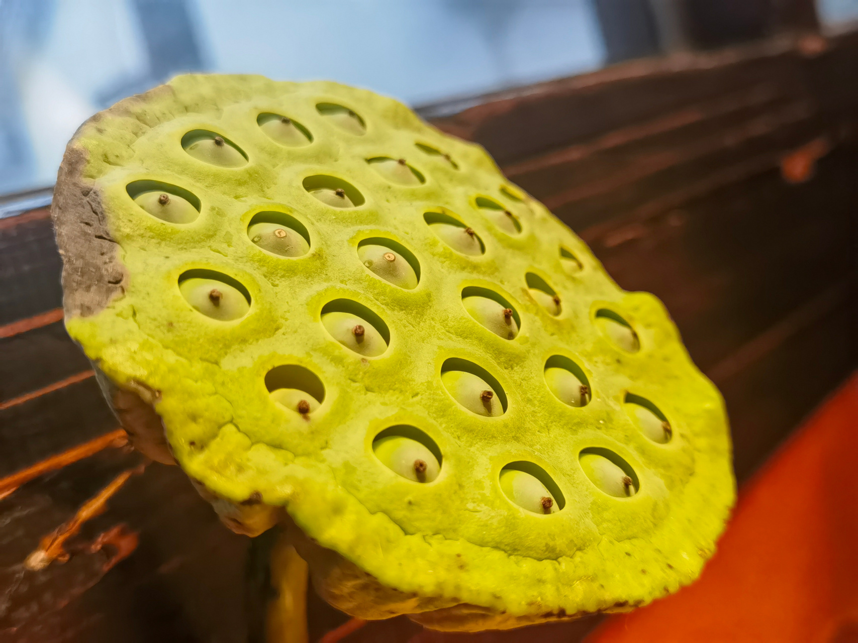 白与黑#钢琴诗人叶子宸##金牛座