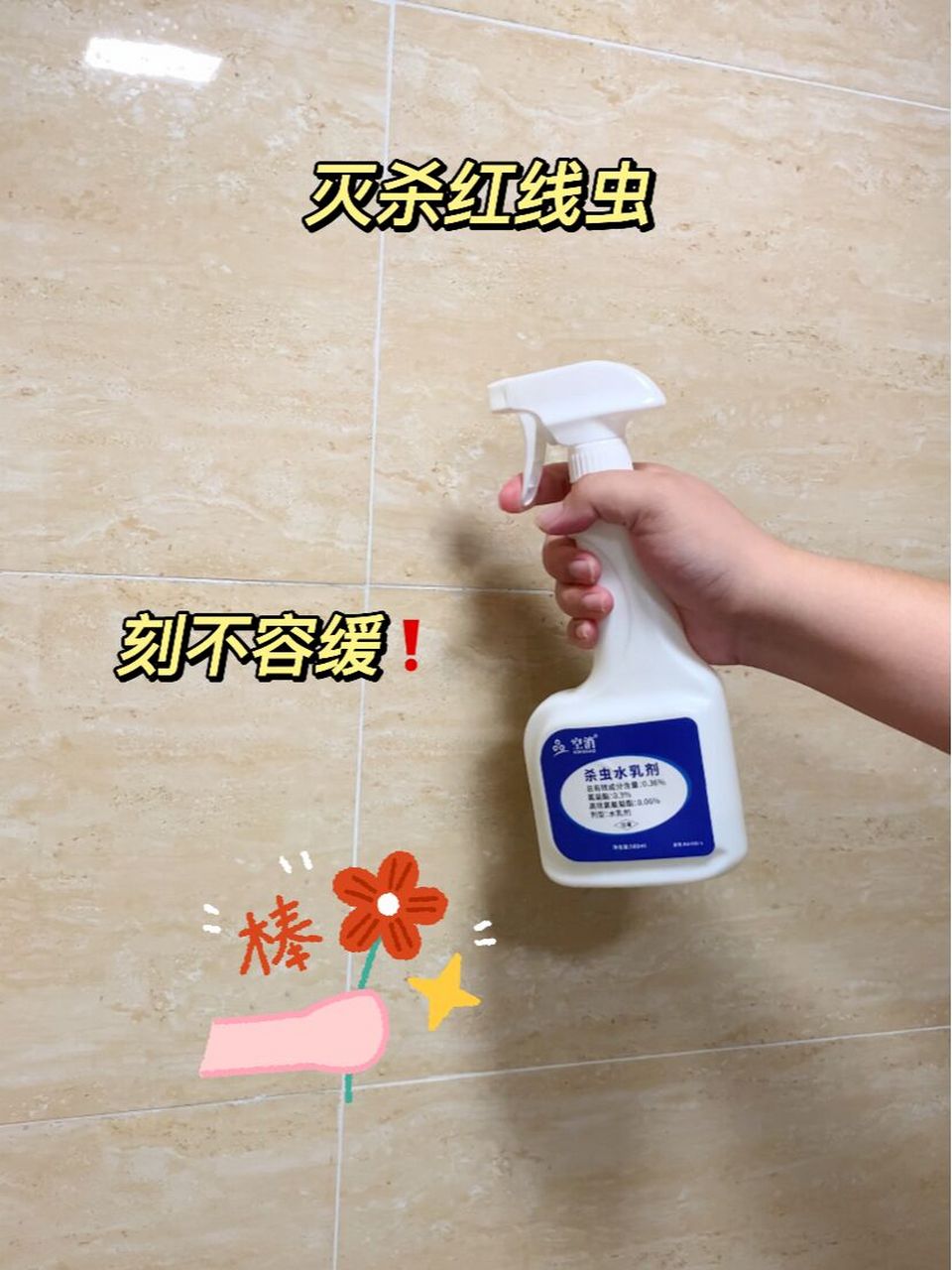 红线虫这样杀更放心哦99 有多少人是见过红线虫的71,可能在你家的