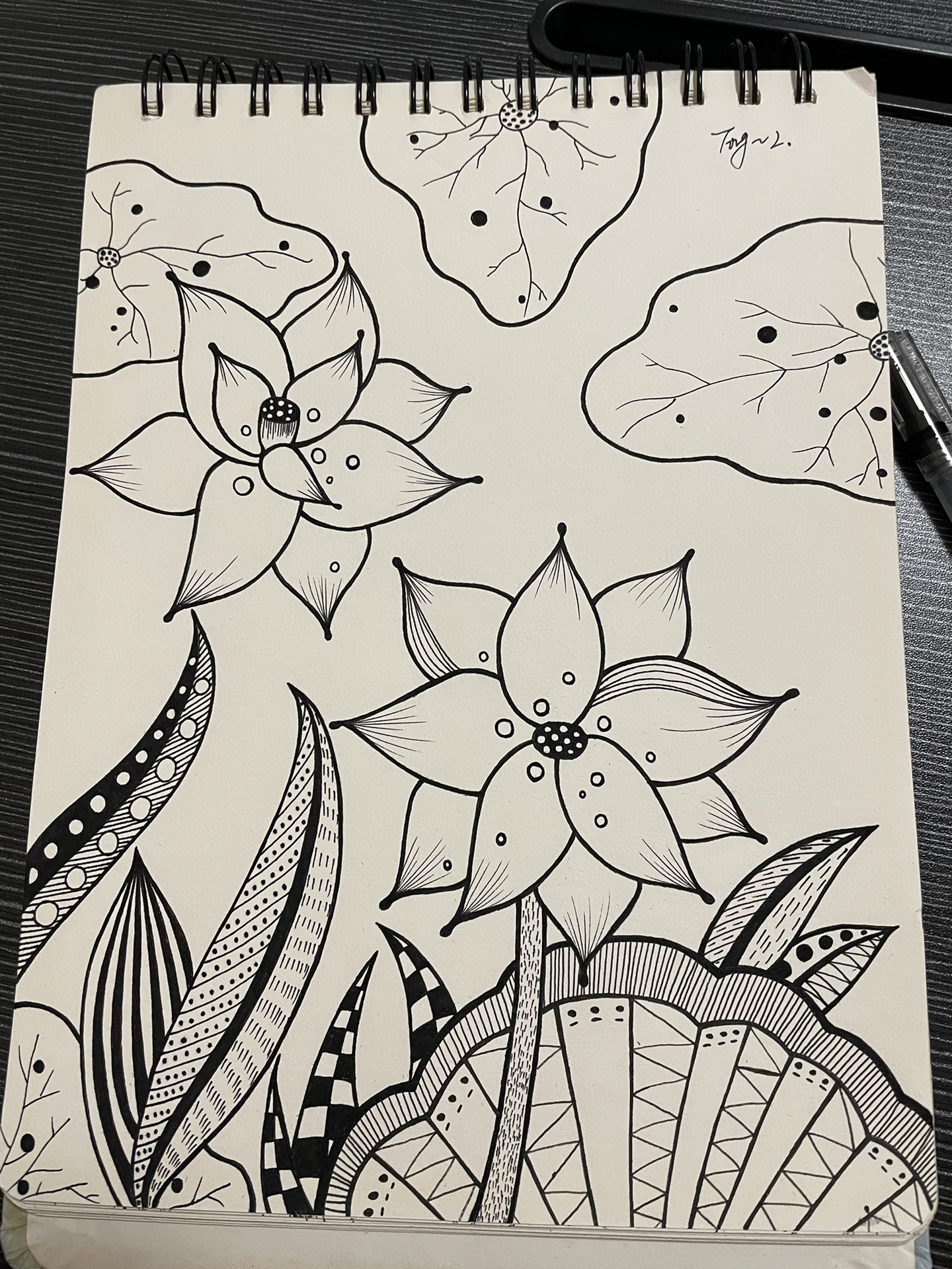 黑白线条画 荷花 简单易画